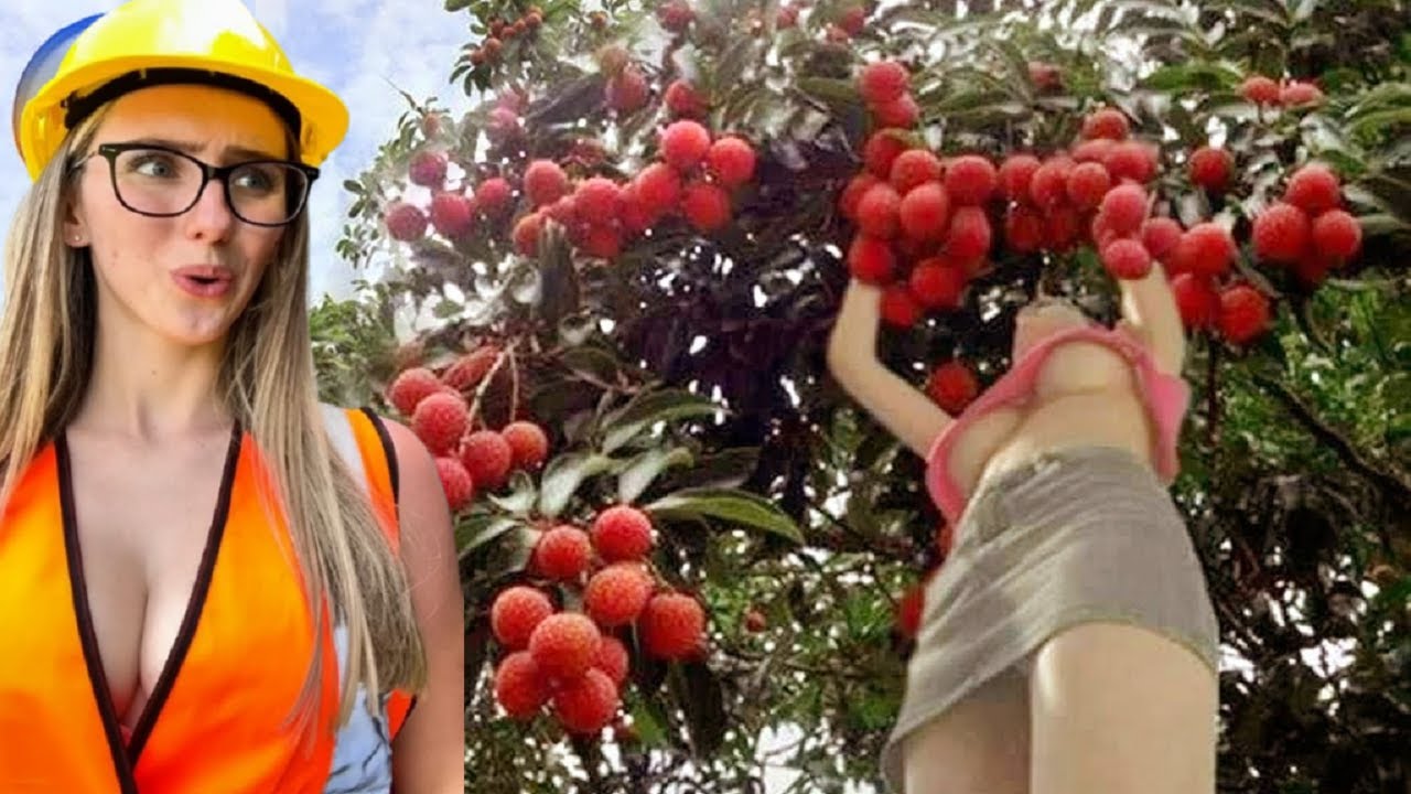 Unbelievable Smart Worker & Hilarious Fails | Construction Compilation P6 