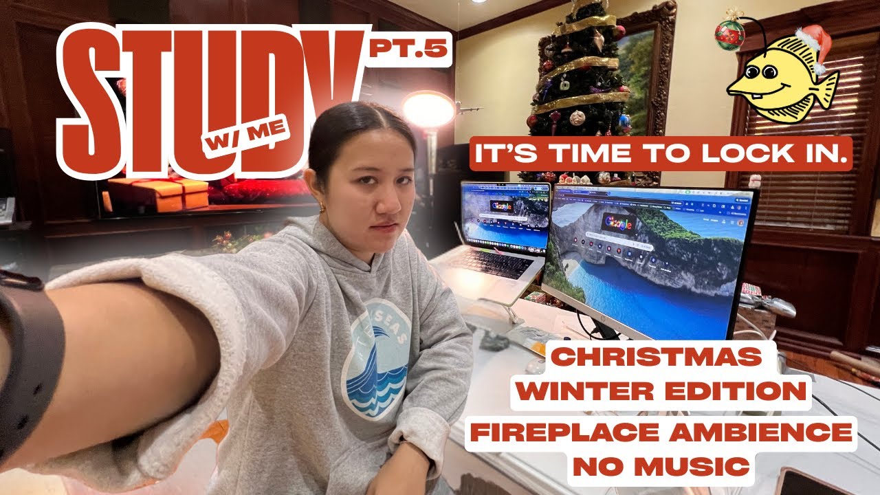 12 HOUR LIVE Study with Me | Mirroring Christmas Ambiance Cat Cozy Winter ADHD Focus