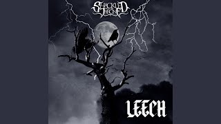 Leech
