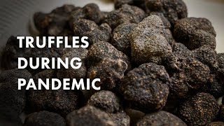 Famous Road To Shark Tank for Truffle Shuffle Net Worth