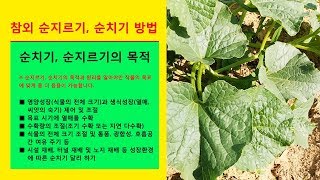 서울시 친환경농장 조안면 삼봉리 농장에 가다 - 주말농장 약도 및 가는 길