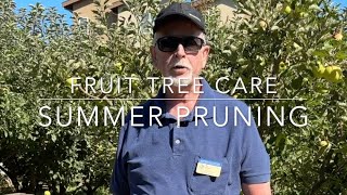Summer Fruit Tree Pruning