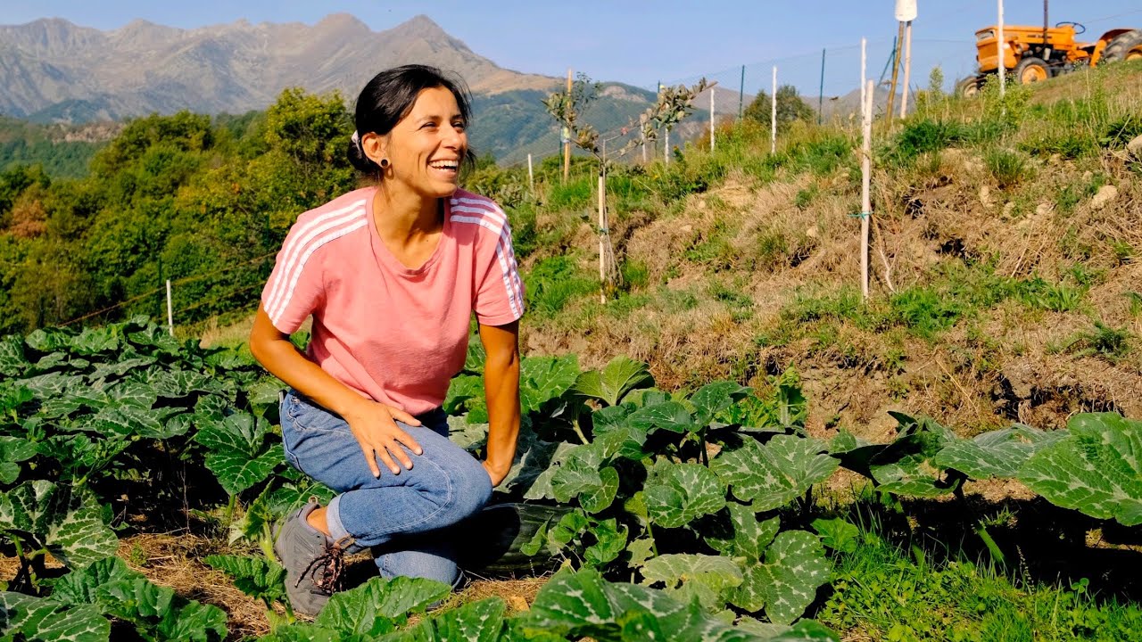 #27 ESTATE DURA PER L'ORTO: VI RACCONTO COSA È SUCCESSO DAVVERO