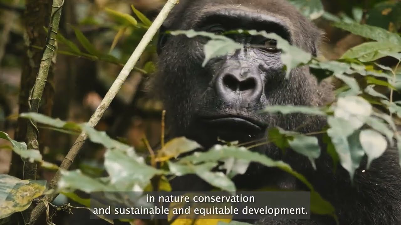 SNAPP and Community Based Natural Resource Governance