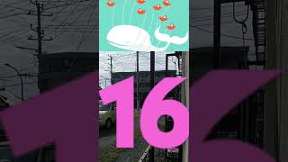 Fail Whale Song But Aaaa