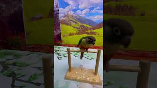 Intelligent Little Bird 🦜💚 Smart Parrots Training #Training #Smartparrot