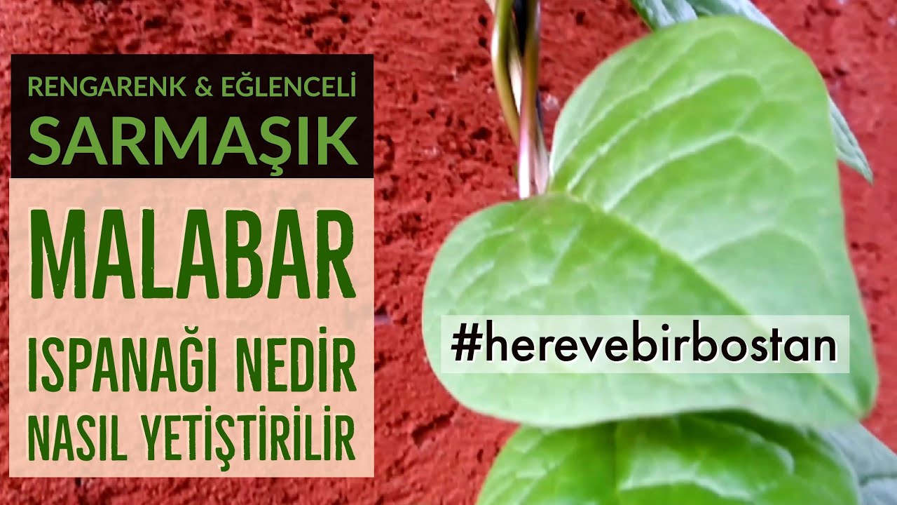 Gusül abdesti hangi durumlarda alınır ile Etiketlenen Konular 77