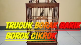 TRUCUK BORAK BARIK BOROK CIKROK screenshot 4