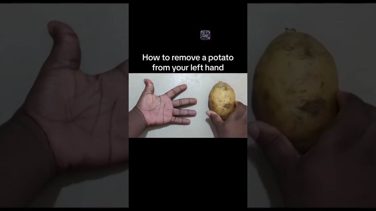 instructions unclear