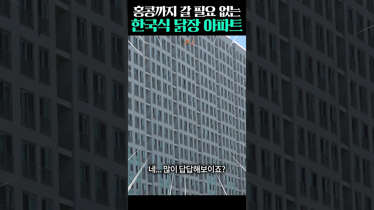 숨막히는 K-닭장아파트 - 머니투데이