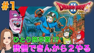 【#1】ドラゴンクエスト2 悪霊の神々 〜女勇者あやまるの珍道中〜 完全初見！女性実況。〈PS4版〉Dragon Quest 2