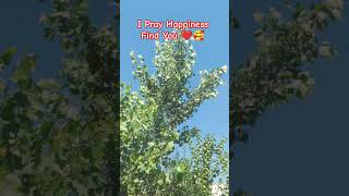 Relaxing Music for Focus & Relaxation