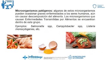 MÓDULO 4 PARTE 1 Video