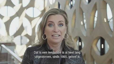 Van onschatbare waarde - Sacha de boer