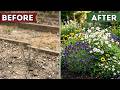 Plant These 11 Self-Seeding Japanese Wildflowers in June — Your Garden Fills Itself Every Spring