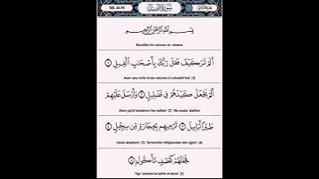 Surah Al-Fil ( Ep 20 | سورة الفيل Chapter 105 Quran Tilawat beautiful reaction
