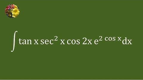 2024 MIT Integration Bee, Semi Final # 2 problem # 4