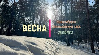 Весна-2023 В Новосибирске  |  Прогулка По Заельцовскому Парку