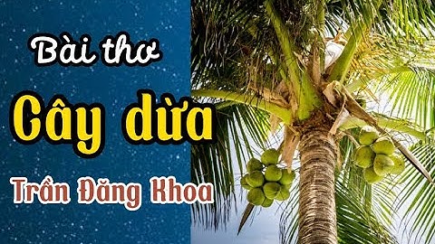 Thơ cây dừa tác giả Trần Đăng Khoa- Thơ hay cho bé