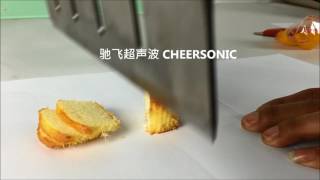 201713026 Cheersonic slab cake Ultrasonic cutting system for inline