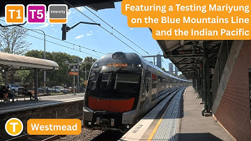 Trainspotting at Westmead - Featuring a testing Mariyung and Indian Pacific | Sydney Trains Vlogs 13