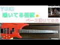 【YUKI】鳴いてる怪獣 ベース弾いてみた