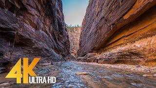 The Narrows  Virtual Hike in the Zion National Park in 4K (Ultra HD) with Nature Sounds