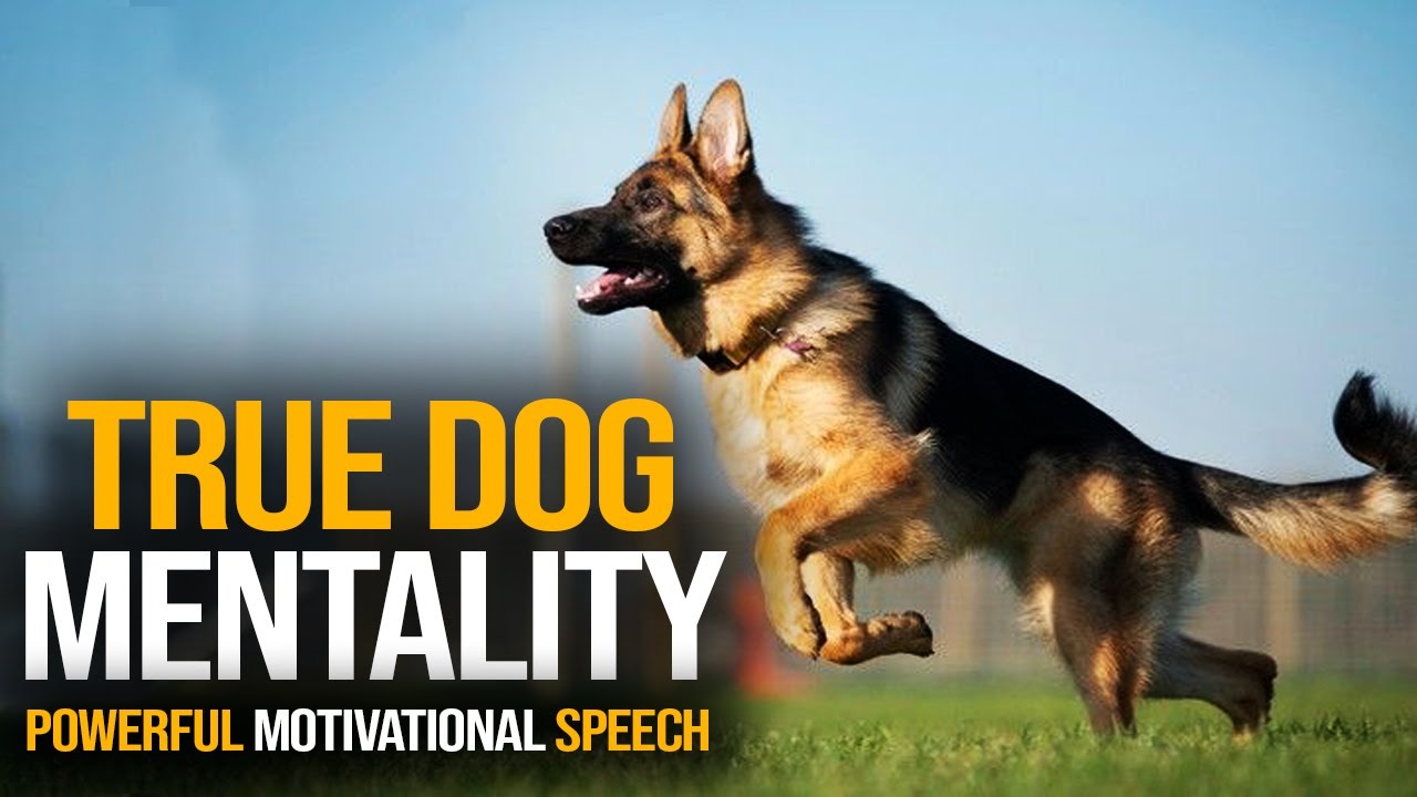 True Dog Mentality Unstoppable With A Powerful Speech 2022