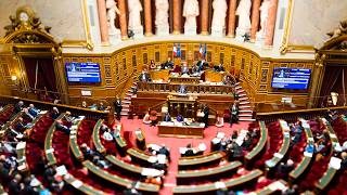 Le Sénat Réclame La Fin De La Surtaxe Dis