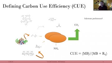 Taylor Cyle: Role of microbial metabolism in the formation of mineral-associated organic matter ...
