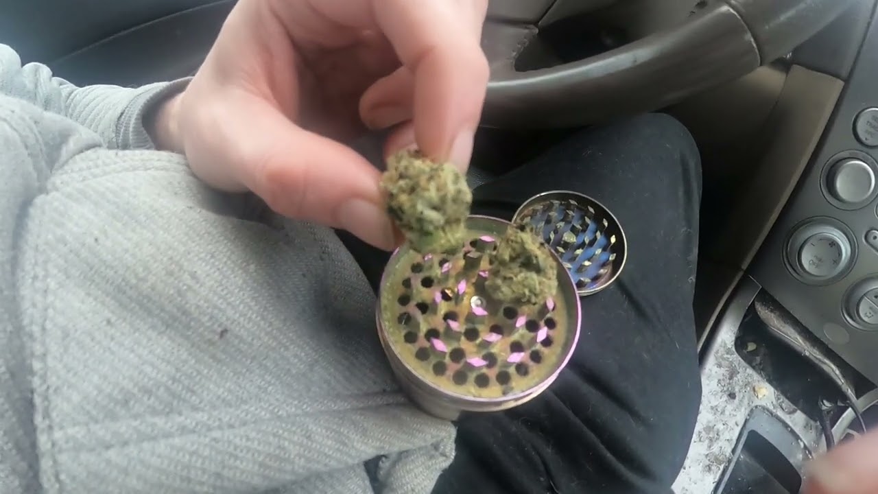 Sour Kush Strain Review