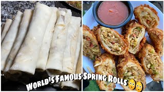 World's Famous Spring Rolls Making || Indian street food