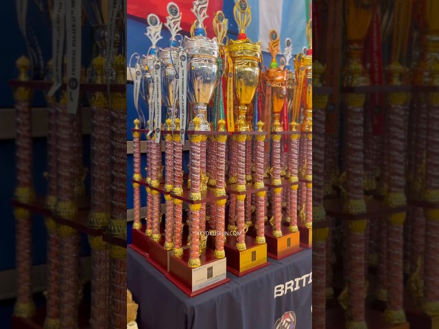 BKG Open 2025 #kyokushin #shinkyokushin #karate #1kyokushin #一極真 #極真会館