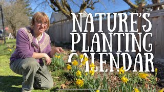 Planting by Phenology: Let Nature Tell You When to Plant Each Vegetable in Your Garden