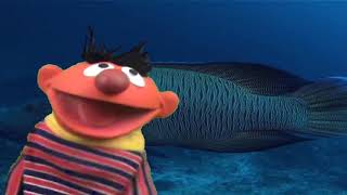 Clic Sesame Street - Ernie Sings I Dont Want To Live On The Moon 60Fps