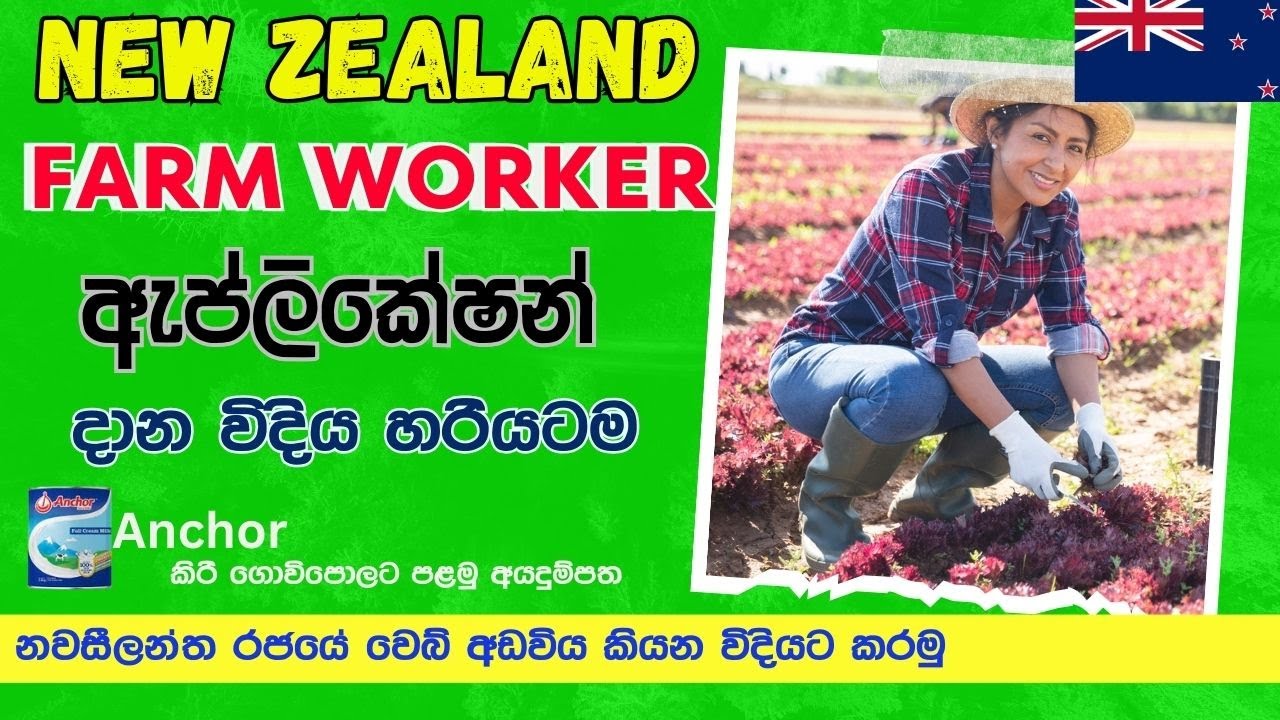 New Zealand Farm worker application දාන්නේ කොහොමද? How to apply for