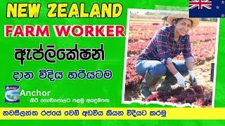 New Zealand Farm worker application දාන්නේ කොහොමද How to apply for farm worker jobs in New Zealand