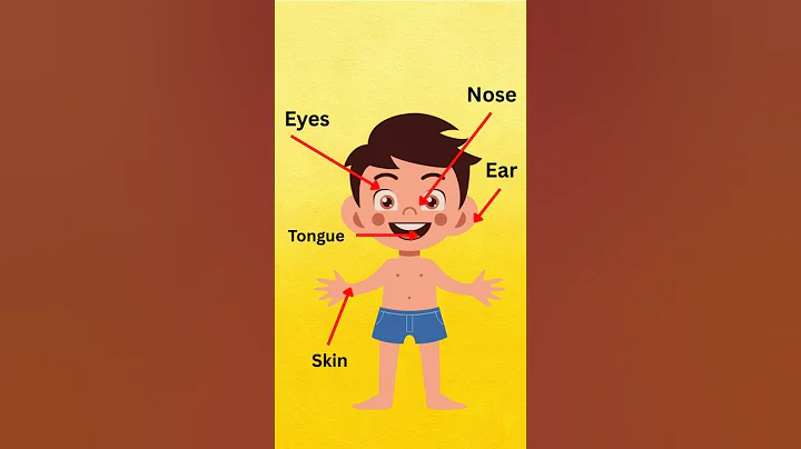 5 Sense Organs for Kids | Learn sense organs for kids #senseorgans #eyes #nose #kidslearning