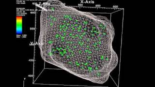 Osmosis simulation by SELM method