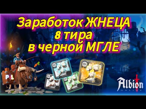 Видео: Что не обычного в фарме Жнеца,8 тира в  Albion Online??? | Pro Leto