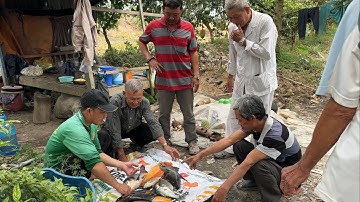 Ngày Thứ 2 Tác Ao Cha Vợ Cá Hô Nấu Chua Bông So Đũa Lâu Rồi Mới Ăn Món Này Nhậu Hết Xảy.GLQ#1669