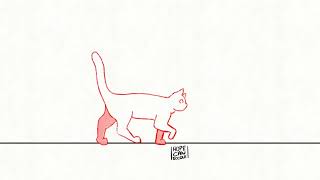 Cat Walk Cycle (Quadrupeds Practice)