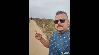 Malibu Dreaming