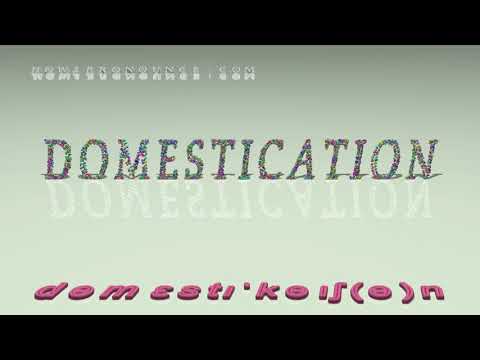 domestication - pronunciation + Examples in sentences and phrases