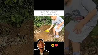 𝗧𝗿𝘆 𝗡𝗼𝘁 𝗧𝗼 𝗖𝗿𝘆 💔🐶 (𝗠𝗼𝘀𝘁 𝗘𝗺𝗼𝘁𝗶𝗼𝗻𝗮𝗹 𝗗𝗼𝗴 𝗩𝗶𝗱𝗲𝗼) #𝘀𝗵𝗼𝗿𝘁𝘀