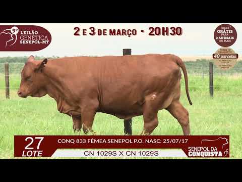 LOTE 27 CONQ 833