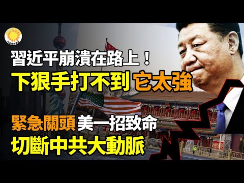 💥習近平崩潰在路上！下狠手打不到 它太強；緊急關頭 美一招致命 切斷中共大動脈；中共活命渠道 要被美國堵上；警鈴大作！致不孕不育？中國拖鞋超標805倍；輝達被排擠? 8科技巨頭...【阿波羅網】