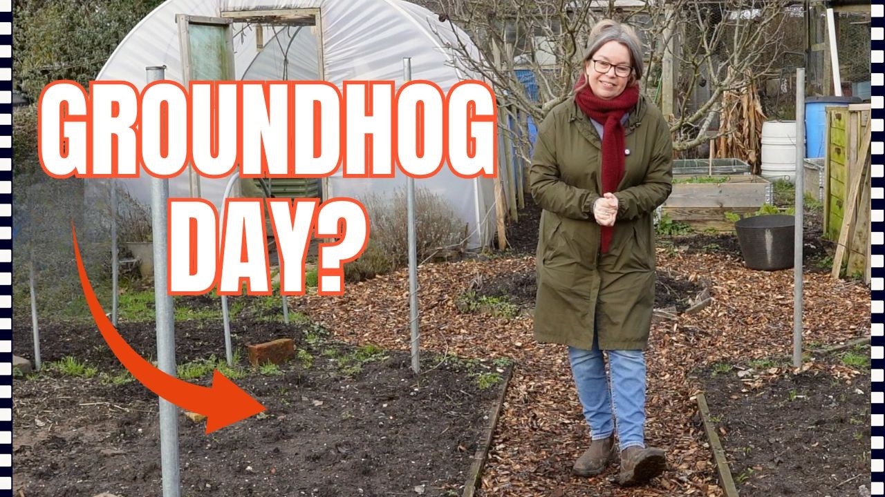 Это обычный февраль?