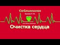 САБЛИМИНАЛ. Очистка сердца. Настрой академика Сытина Г. Н. (для мужчин и для женщин)