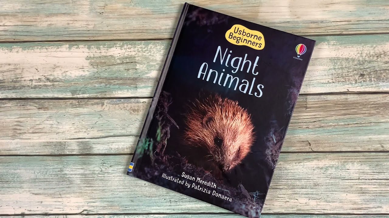 Night Animals - Usborne Books Canada